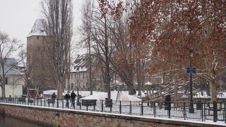 雪が一面に広がっていた
