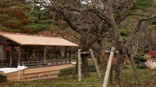 舟形のあずま屋