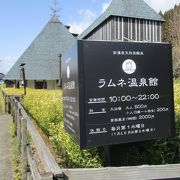 全国でも稀な高濃度の炭酸泉が涌く長湯温泉にある日帰り温泉施設で、湯の中に小さい気泡が立つことから別名ラムネ温泉ともいわれ、湯に浸かって数分で肌にびっしりと気泡が付着し、血行促進を促します。