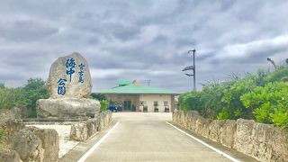 海に入らなくても海中観察ができます