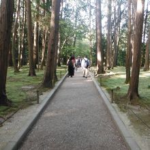 唐招提寺 開山御廟(苔生した林)
