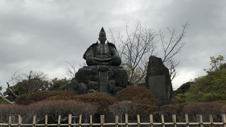 花は、まだでした！