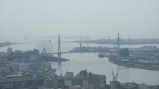 美しいフォルムです