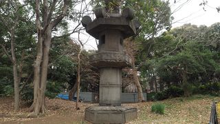 想像以上に大きい