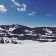 たくさんのコースがあって楽しめました