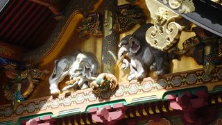 ユニークな象の姿