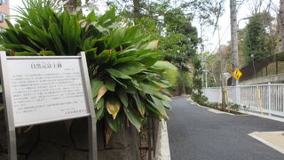 説明板があります