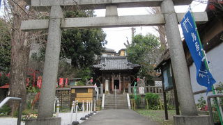 社務所前の花壇がきれいでした