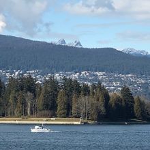 向かう方向の山を左手へと飛んでいきました