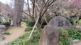 傾斜地にあります