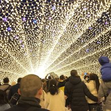 全体の広さも ちょうどいい