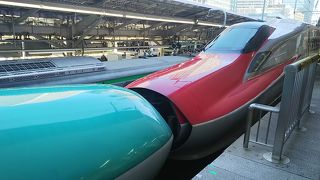 巨大ターミナル駅。