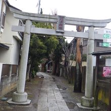 鳥居方向から