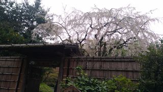 とても広い庭園です