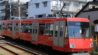 エコでカラフル