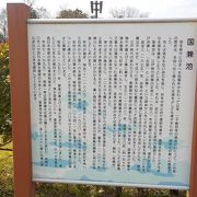 大きな池です