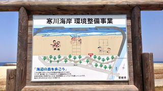 寒川豊岡海浜公園ふれあいビーチ