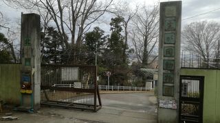 無料で楽しめます