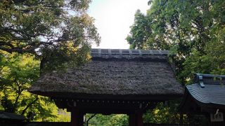 大きな茅葺の屋根