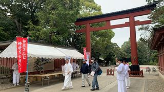 3/30 神主さんと神社を学ぼう！、3/30-31氷川マルシェ、さんきゅう参道2019 が開催されました！池の水が全部抜かれていました。