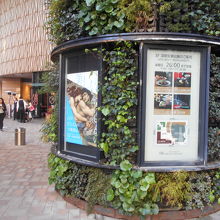 太い柱には植栽がされているのがおしゃれ