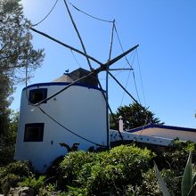お店の名の通り、表には白い風車があるのが目印。