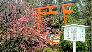 京都を代表するパワースポット「下鴨神社」
