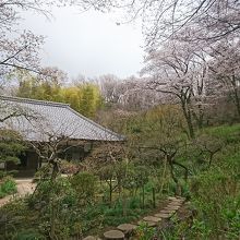 淨慶寺