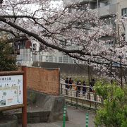 水の流れが気持ち良い公園