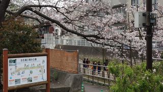 水の流れが気持ち良い公園