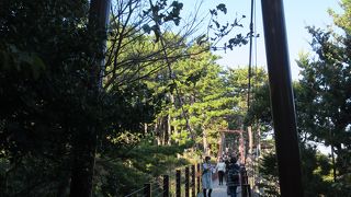 伊豆の天板観光スポット