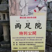 等伯・若冲の特別展と庭園