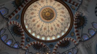 静かに見学すれば問題は全くありません