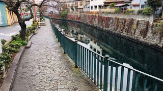 「地域をつなぐ架け橋ツアー」で、神奈川宿を歩いた際通りました