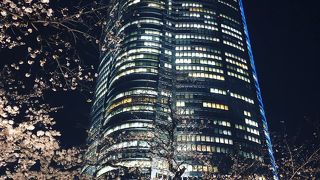 綺麗な桜とビルのコラボ