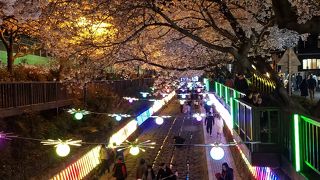 平日夜も大混雑でした。