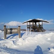 空港近くの景色が良い公園