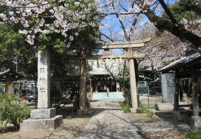 新小岩厄除 香取神社 クチコミ アクセス 営業時間 新小岩 小岩 フォートラベル 新小岩厄除 香取神社 クチコミ アクセス 営業時間 新小岩 小岩 フォートラベル