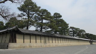 お花見にお勧め