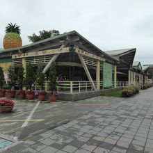 台湾茶の店も沢山ありました
