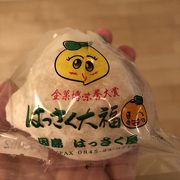 はっさく大福は大人の味