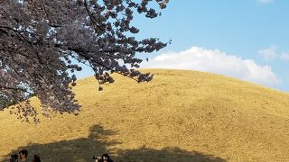 沢山の古墳