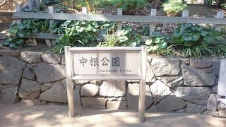 長い長い滑り台