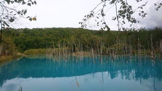 そんなに青くないです