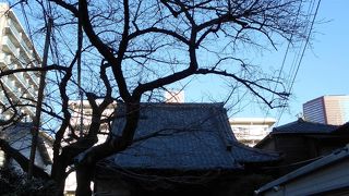 落ち着いた雰囲気の浄土宗寺院