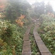 特に、石畳や木道といって道が充実しています。雨の日は、滑りますので、気を付けてください。