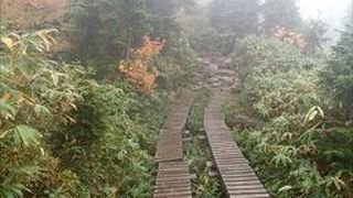 特に、石畳や木道といって道が充実しています。雨の日は、滑りますので、気を付けてください。