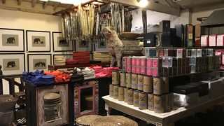 オシャレなアイテムがいっぱい