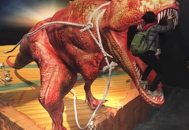 トリック 3dアート湯布院 クチコミ アクセス 営業時間 湯布院 由布院温泉 フォートラベル