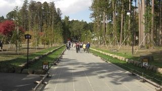 久々のズイガンズィー